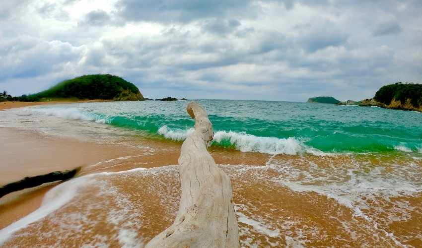 VIAJE HUATULCO  DESDE MONTERREY