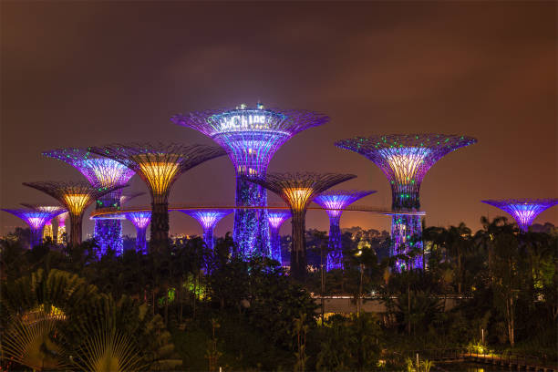 VIAJE SPECIAL SINGAPUR, JAVA Y BALI  DESDE MONTERREY