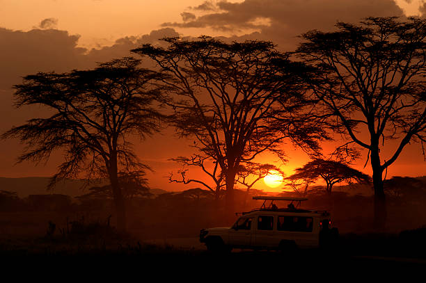 VIAJE SUDAFRICA ESENCIAL Y CATARATAS VICTORIA (ZIMBABWE)  DESDE MONTERREY