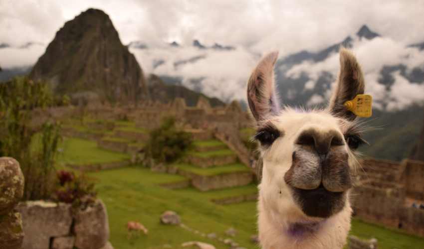 Viaje machu picchu inn  desde Monterrey